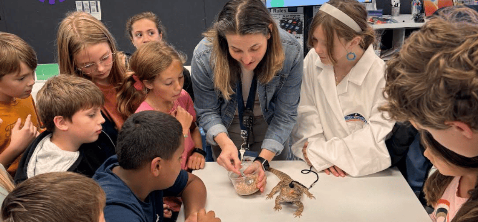 Student gather around their teacher as she feeds the school pet, a beaded dragon