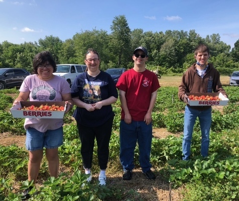 Participants picking strawberries.