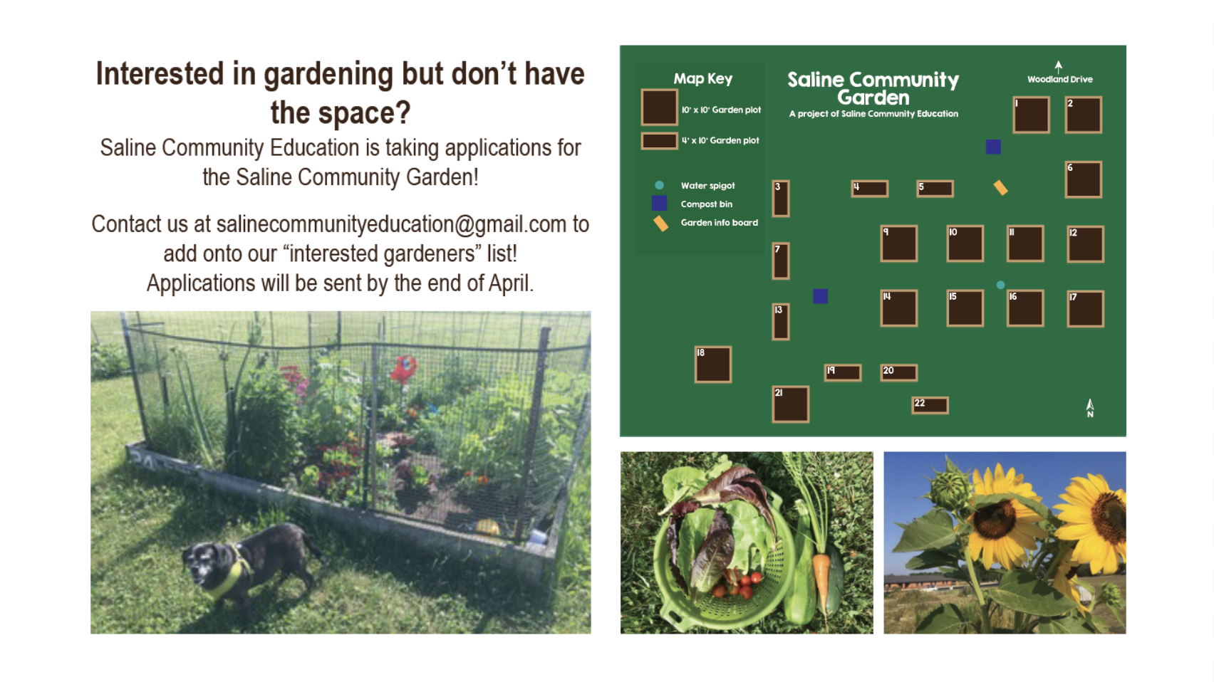 Community Garden